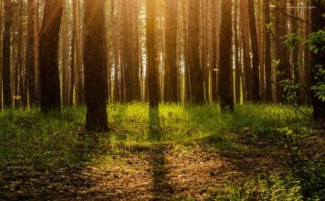 Co najbardziej cieszy rodziców?