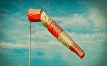 Ile przeciętny Polak ma IQ? Ile przeciętny Polak ma IQ?