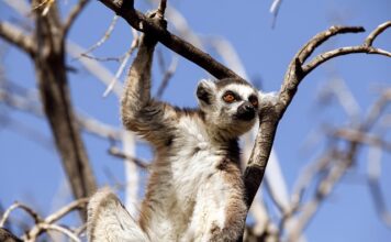 Jak reagować na złe zachowanie dziecka? Jak reagować na złe zachowanie dziecka?