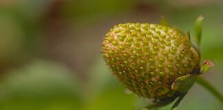 Jak osiągnąć dojrzałość emocjonalna?